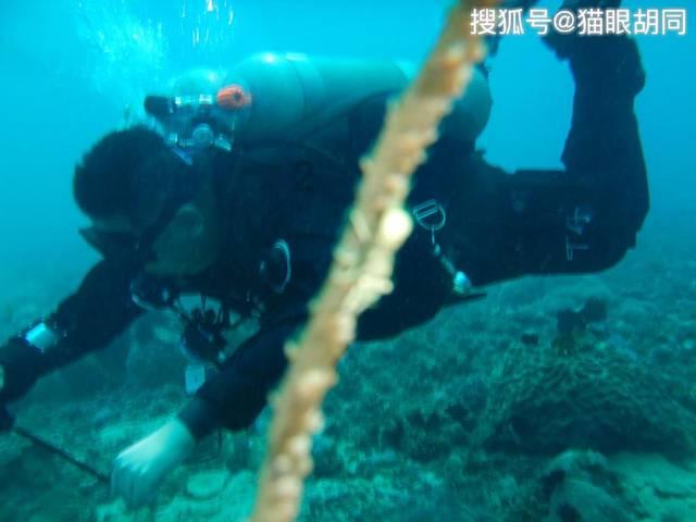 学霸分享如何学习游戏画面